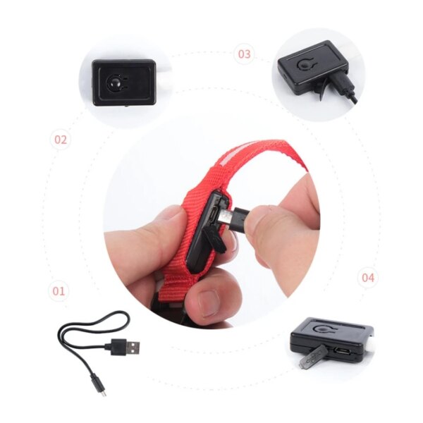 Led Light Dog Collar + USB Charging/Battery - Image 8