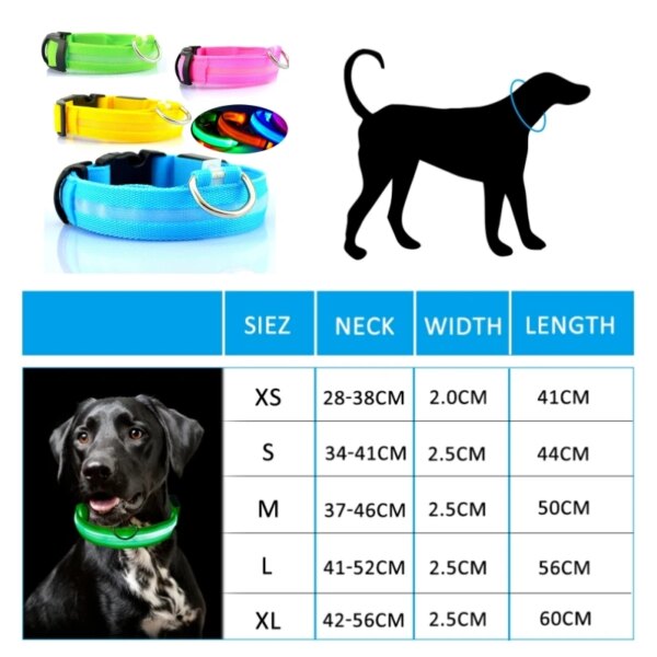 Led Light Dog Collar + USB Charging/Battery - Image 6