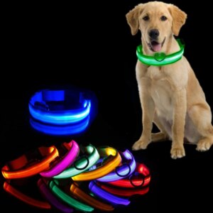 Led Light Dog Collar + USB Charging/Battery