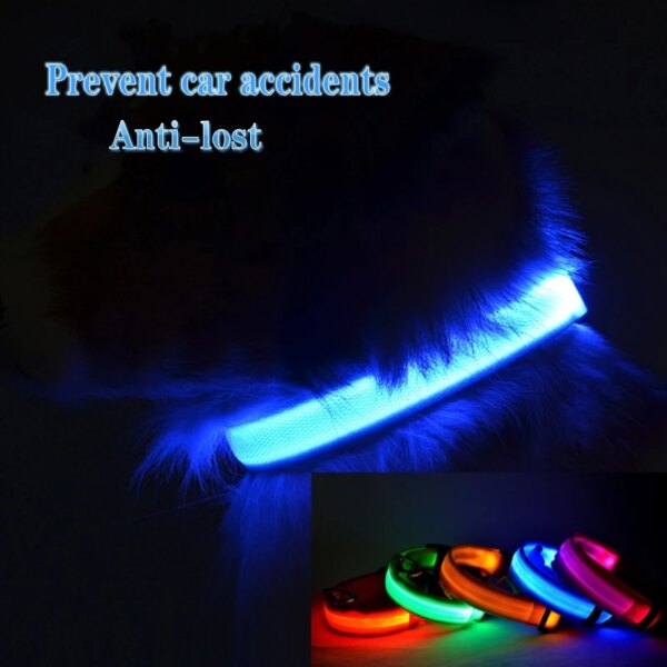 Led Light Dog Collar + USB Charging/Battery - Image 10
