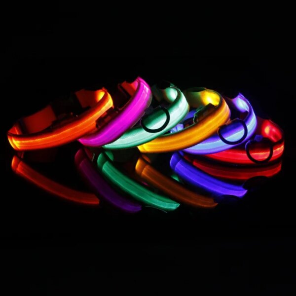 Led Light Dog Collar + USB Charging/Battery - Image 7