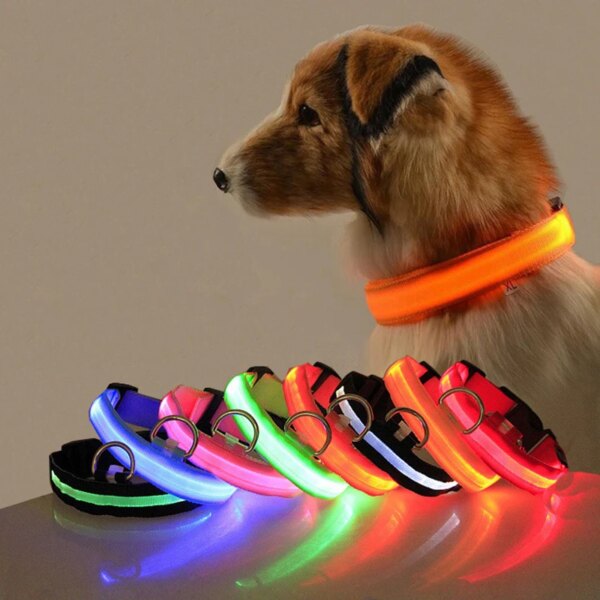 Led Light Dog Collar + USB Charging/Battery - Image 2